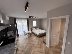 The Cozy Nest in Cluj-Napoca